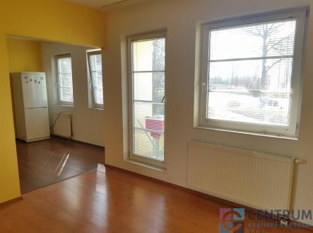 Pronájem bytu, 1+1, 33 m²