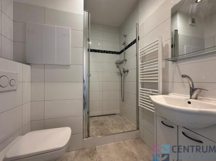 Pronájem bytu, 1+1, 36 m²