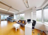 Pronájem kanceláře, 390 m²