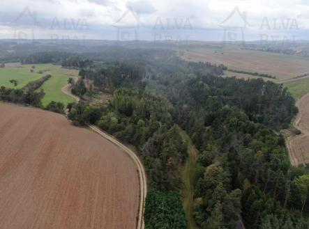 Prodej pozemku, les, 24 443 m²