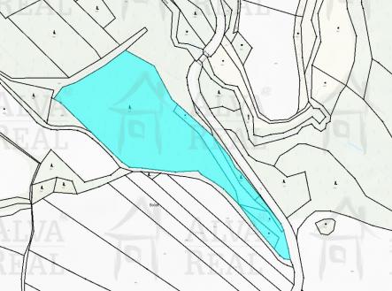 Prodej pozemku, les, 24 443 m²