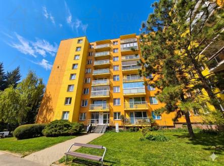 Prodej bytu, 1+kk, 38 m²