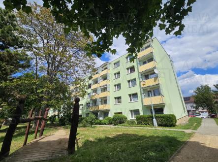 Prodej bytu, 2+1, 56 m²