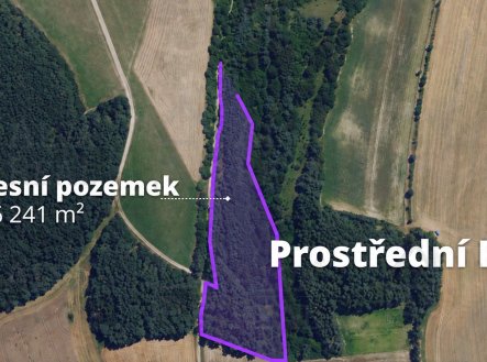 Prodej pozemku, les, 16 241 m²