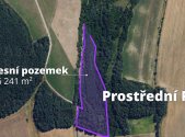 Prodej pozemku, les, 16 241 m²