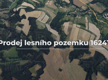 Prodej pozemku, les, 16 241 m²