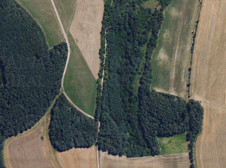 Prodej pozemku, les, 16 241 m²