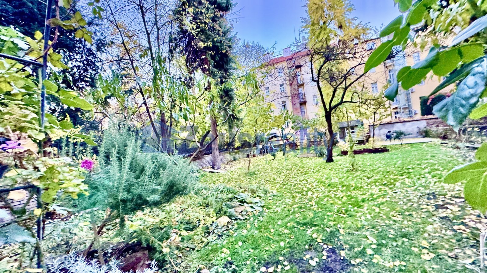 Fotku se nepodařilo načíst.