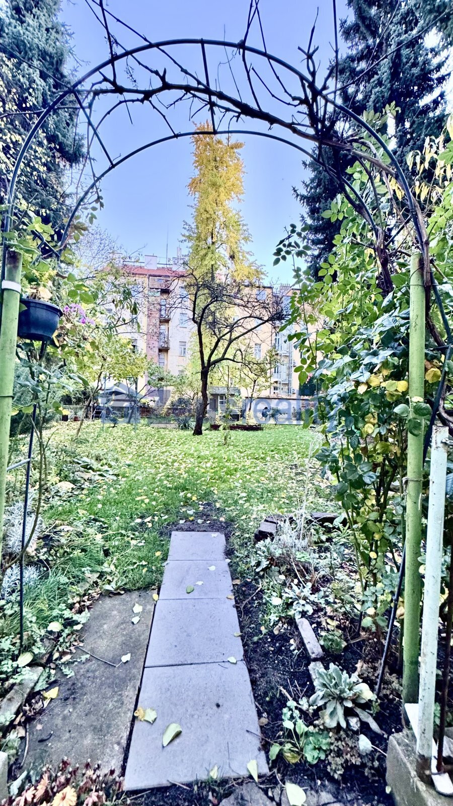 Fotku se nepodařilo načíst.