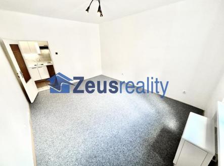 Pronájem bytu, 1+kk, 26 m²