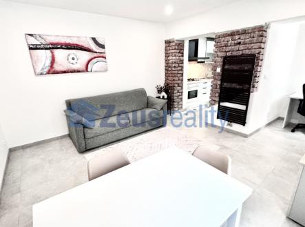 Pronájem bytu, 1+1, 41 m²