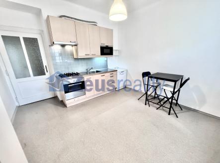 Pronájem bytu, 1+1, 48 m²