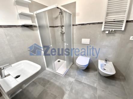 Pronájem bytu, 3+kk, 46 m²