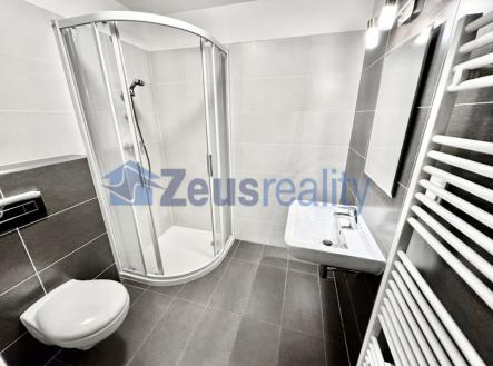 Pronájem bytu, 1+1, 39 m²