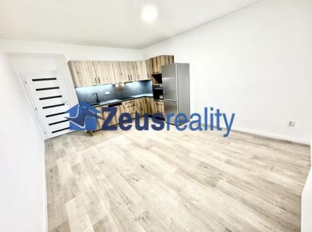 Pronájem bytu, 1+1, 50 m²