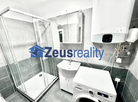 Pronájem bytu, 1+1, 50 m²