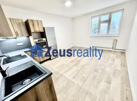 Pronájem bytu, 1+1, 50 m²