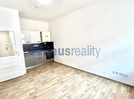 Pronájem bytu, 1+kk, 22 m²