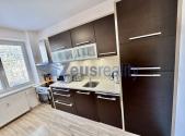 Pronájem bytu, 1+1, 64 m²