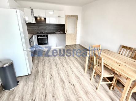 Pronájem bytu, 4+kk, 100 m²