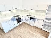 Pronájem bytu, 1+1, 50 m²
