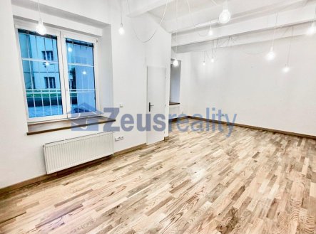 Pronájem obchodní prostory, 48 m²