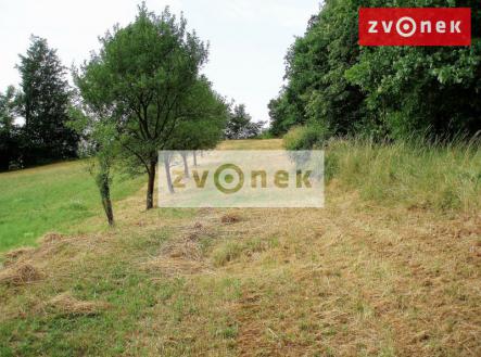 Prodej - pozemek, trvalý travní porost, 7 426 m²