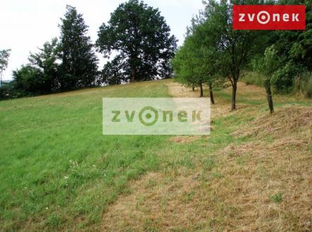 Prodej - pozemek, trvalý travní porost, 7 426 m²