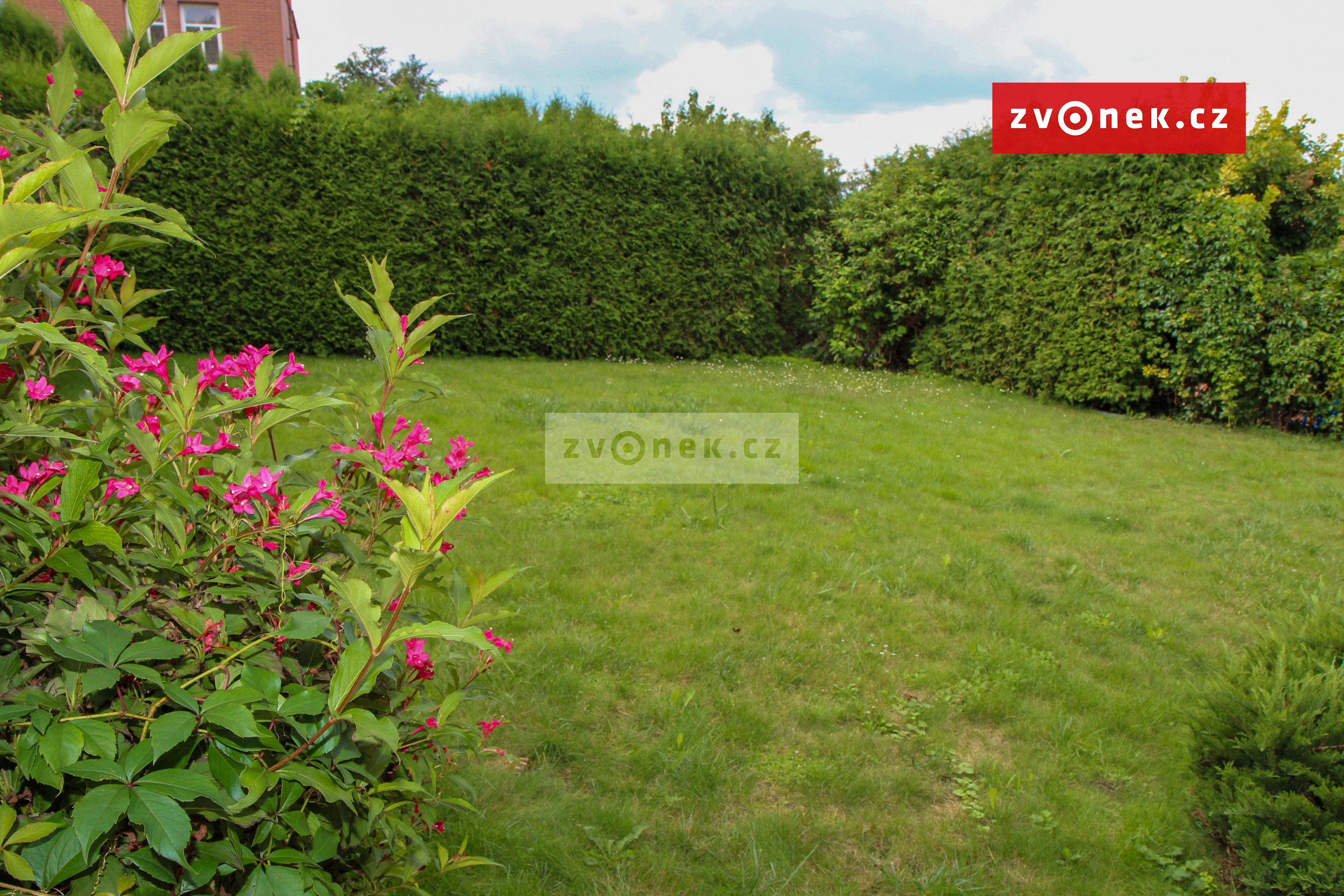 Obrázek k zakázce č.: 654931