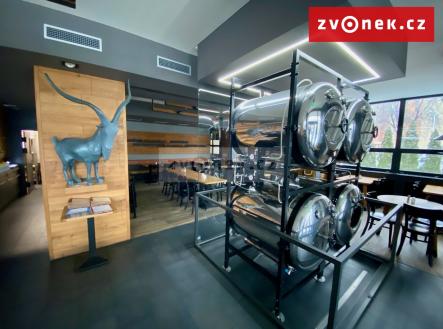 Prodej komerčního objektu, obchodní centrum, 500 m²