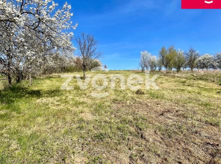 Prodej pozemku pro bydlení, 830 m² obrázek