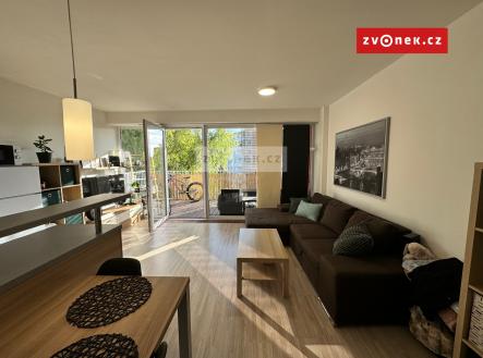 Pronájem bytu, 2+kk, 58 m²