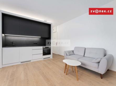 Pronájem bytu, 1+kk, 28 m²