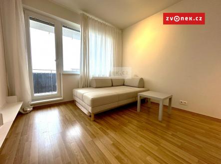 Pronájem bytu, 1+kk, 31 m²