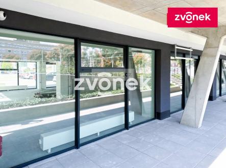 Pronájem obchodní prostor, 210 m²