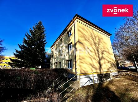 Pronájem bytu, 2+1, 56 m²