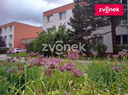 Pronájem bytu, 1+kk, 27 m²