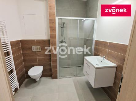 Pronájem bytu, 2+kk, 56 m²