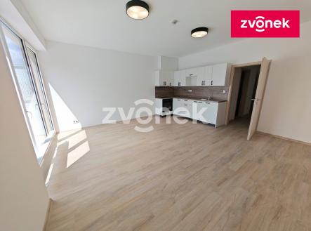 Pronájem bytu, 2+kk, 56 m²