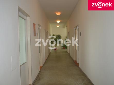 Pronájem obchodní prostor, 270 m²