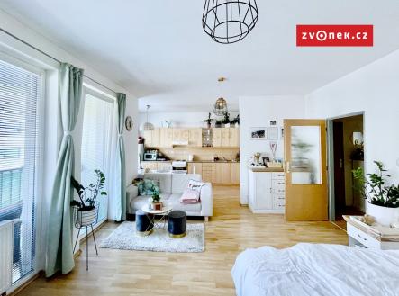 Pronájem bytu, 1+kk, 47 m²