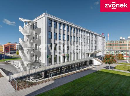 Pronájem kanceláře, 100 m²