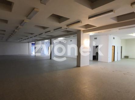 Pronájem skladovací prostor, 1 272 m²