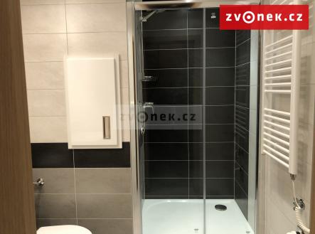 Pronájem bytu, 1+1, 36 m²