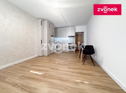 Pronájem bytu, 1+kk, 28 m²