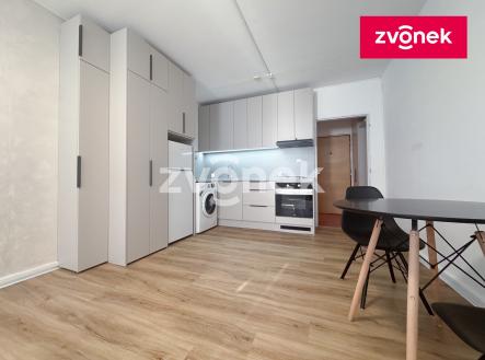 Pronájem bytu, 1+kk, 28 m²
