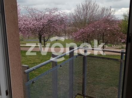 Obrázek k zakázce č.: 714402