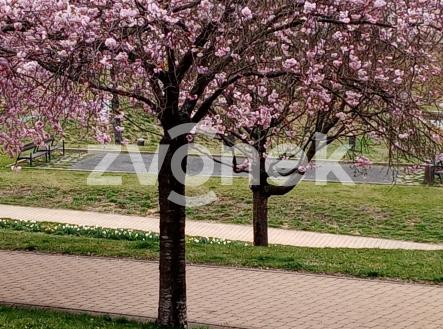 Obrázek k zakázce č.: 714402