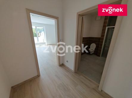 Pronájem bytu, 1+kk, 36 m²