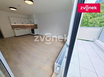 Pronájem bytu, 1+kk, 40 m²
